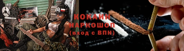 прущие грибы Аркадак