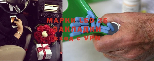 прущие грибы Аркадак