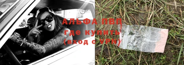 прущие грибы Аркадак