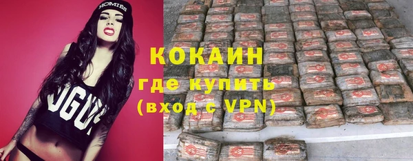 прущие грибы Аркадак
