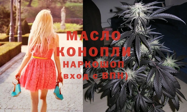 прущие грибы Аркадак